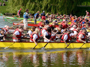 Supporting image for story: Birmingham Dragonboat Race sets record-breaking fundraising target