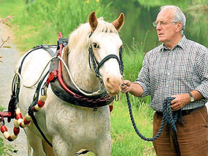 Supporting image for story: Cracker is ready to pull in the visitors