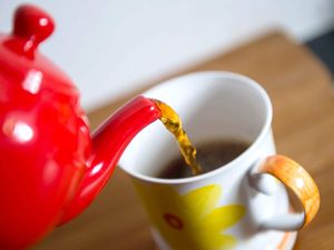 Supporting image for story: Tea leaves picked 200 years ago could help save cuppa from climate change