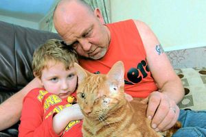Supporting image for story: Kitten survives being shot in the face twice