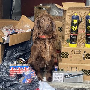 Police dog Bran with some of the illicit goods he helped to uncover