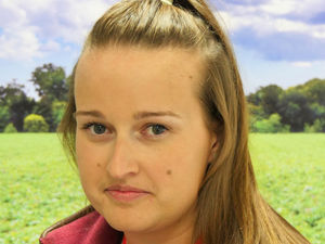 Supporting image for story: Early warning scheme on pig health