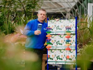 Supporting image for story: Daffodils to help raise money for Severn Hospice