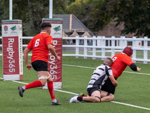 Supporting image for story: Stafford on the march to record back-to-back wins