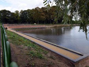 Supporting image for story: Swan mauled by dog in West Bromwich park prompting warning