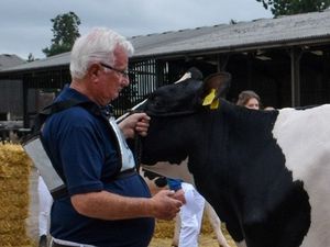 Supporting image for story: Farming Talk: Shropshire Holstein Club always welcomes new members 