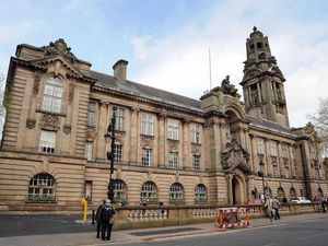 Supporting image for story: Dangerous trees to be tackled