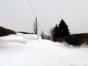 Supporting image for story: Peter Rhodes on a cold heatwave, legal small print and putting your faith in complementary medicine