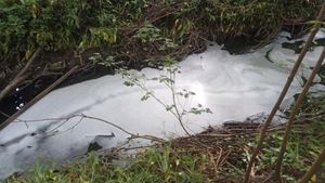 Pollution problems at Hurley Brook in Telford. Picture: Friends of Hurley Brook