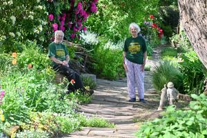 Yoland and Roger Brown are opening their garden this weekend for the National Garden Scheme)