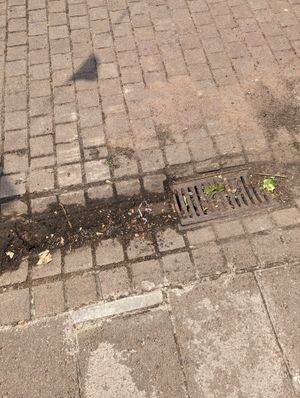 Photo of drainage outside Temptations