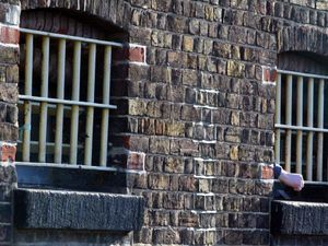 Supporting image for story: Chemical castration of sex offenders to be piloted in 20 prisons, says Mahmood