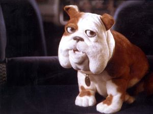 Supporting image for story: Direct Line to launch more affordable car cover after price rises hit sales