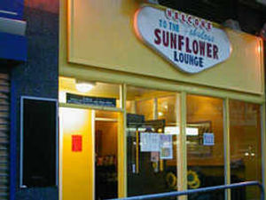 Supporting image for story: St Leonard's Horses saddling up for tour