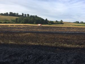 Supporting image for story: Field of barely goes up in flames in Shropshire