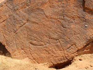 Supporting image for story: 12,000-year-old carvings of animals discovered in Saudi Arabian desert