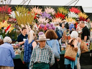 Supporting image for story: Finishing touches for Virtual Shrewsbury Flower Show