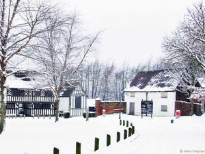 Supporting image for story: Choosing a camera