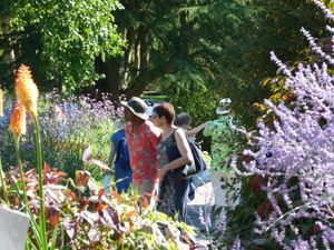Dorothy Garden Summer Plant Hunters' Fair