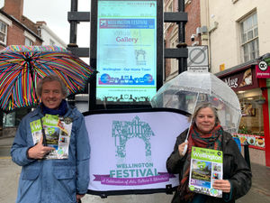 Supporting image for story: Wellington Festival going virtual to mark silver anniversary