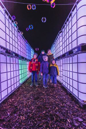 Love2Stay have a special Christmas Trail 