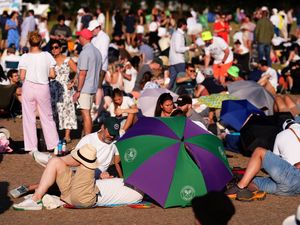 Supporting image for story: Wimbledon fans prepare for 34C heat with wine, umbrellas and strawberries