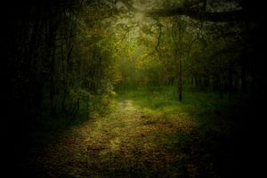 Keith Wright’s stunning image which won the adult category 