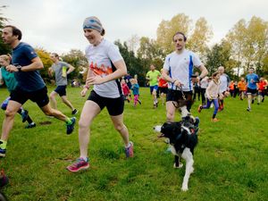 Supporting image for story: Parkrun organisers say delay is disappointing but inevitable