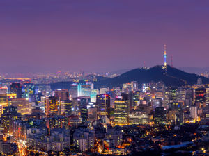 Supporting image for story: Wolves withdraw from South Korea pre-season tour 