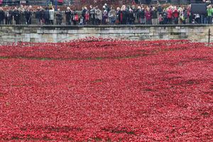 Supporting image for story: Kirsty Bosley: The troops weren't the only ones battling war