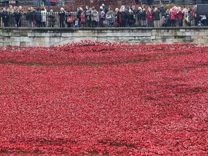 Supporting image for story: Kirsty Bosley: The troops weren't the only ones battling war