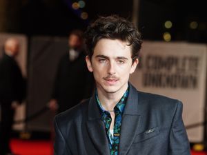 Supporting image for story: ‘She dreamed a dream’: Timothee Chalamet reveals he is a Susan Boyle fan