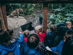 Supporting image for story: Free zoo trips up for grabs for Shropshire schools