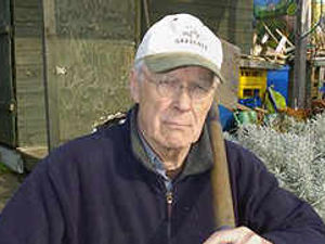 Supporting image for story: Allotment sheds hit by thieves