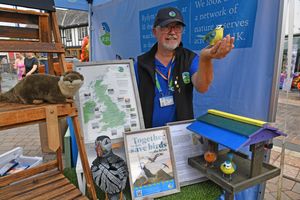 Stourbridge Carnival, part of the Black Country Festival, runs in Stourbridge town centre. David Lawson was fundraising with the RSPB