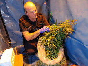 Supporting image for story: Cannabis worth £3k is found in cubby hole