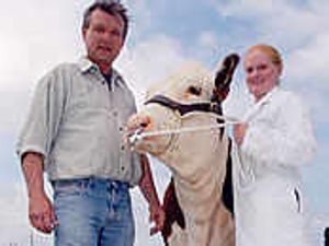 Supporting image for story: Chairman's pledge on show