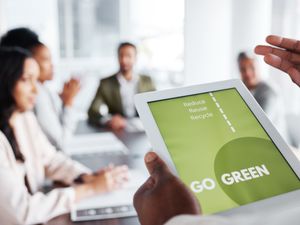 Supporting image for story: Funding boost to help businesses go green