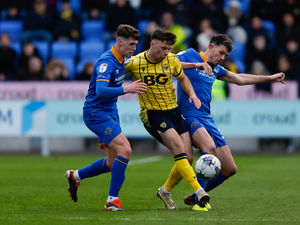 Supporting image for story: Ollie Westbury: Honest Hurst will not let Shrewsbury's standards drop