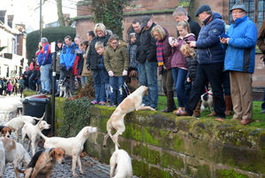 The Albrighton Hunt parades through Newport