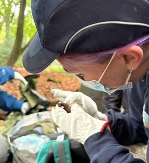 Supporting image for story: How ‘Bat Lady’ is helping the protected species thrive at Severn Trent reservoir sites