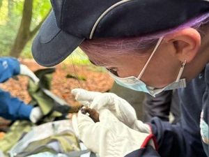 Supporting image for story: How ‘Bat Lady’ is helping the protected species thrive at Severn Trent reservoir sites
