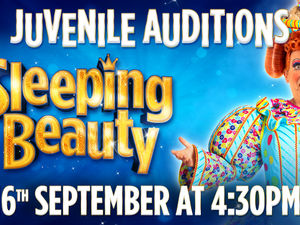 Supporting image for story: Budding stage stars from Shropshire could be in Shrewsbury panto with Brad Fitt - find out how