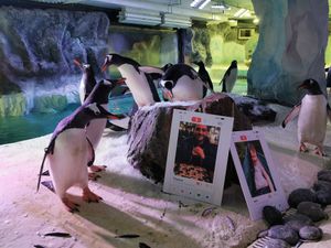 Pablo and the Fin-der boards at Birmingham Sea Life Centre