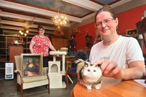 Marie Morris said there were benefits to cat cafes for both the cats and the humans