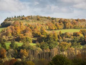Supporting image for story: Environmental initiative sees wildflower seeds sent out across Telford