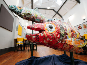 Supporting image for story: Three giant fish sculpted from beer and fizzy drinks cans are set to be unveiled