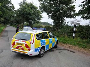 Supporting image for story: Man dies after BMW hits tree and overturns