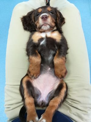 Peter Myatt also won for this shot