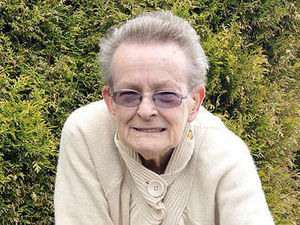 Supporting image for story: Tow-truck gang hurl dog from stolen car